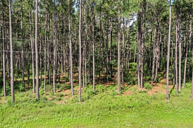 4A-16-31 Branding Iron Rd, Huntsville, TX 77340 - photo 11