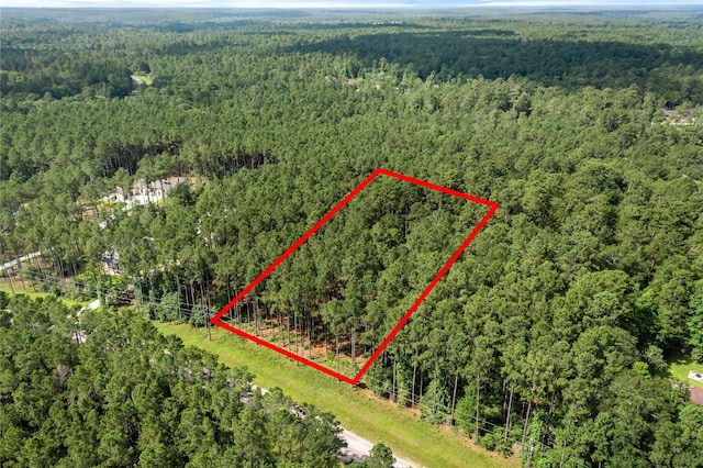 4A-16-31 Branding Iron Rd, Huntsville, TX 77340 - photo 1
