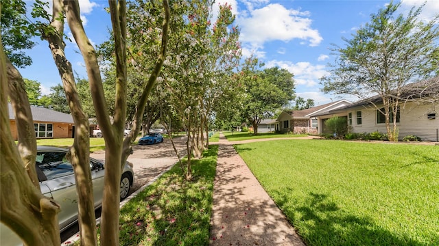 5010 Redstart St, Houston, TX 77035 - view of green lawn