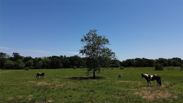 1601 Blase Rd, Rosenberg, TX 77471 - photo 21