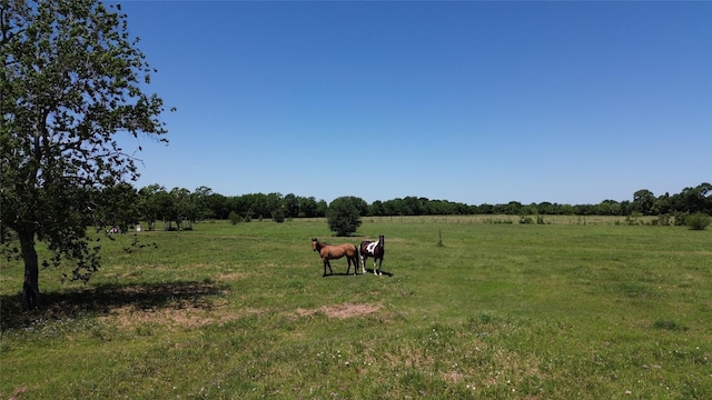 1601 Blase Rd, Rosenberg, TX 77471 - photo 22