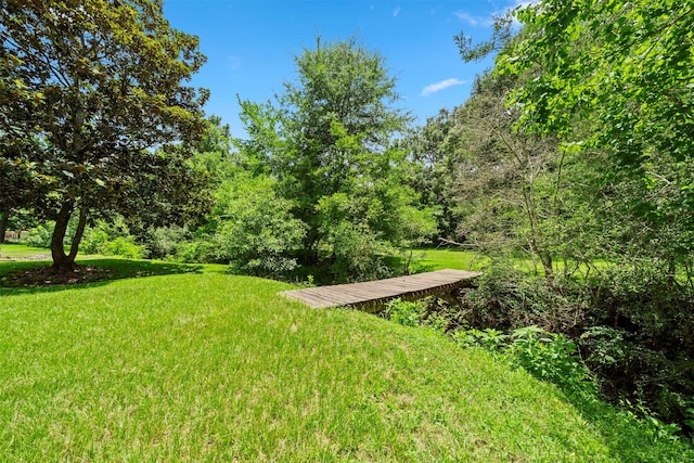 280 Sambo Ln, Livingston, TX 77351 - photo 17