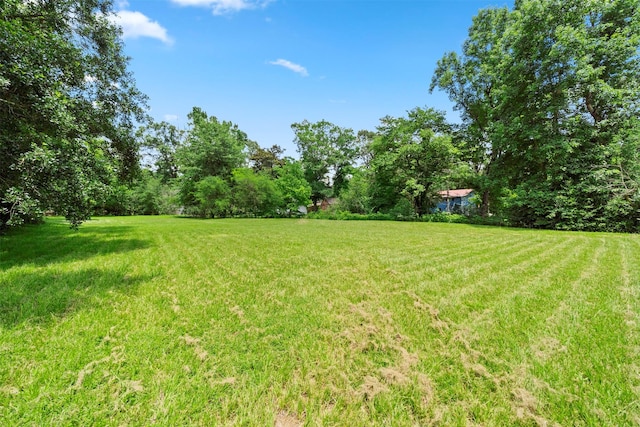 280 Sambo Ln, Livingston, TX 77351 - photo 19