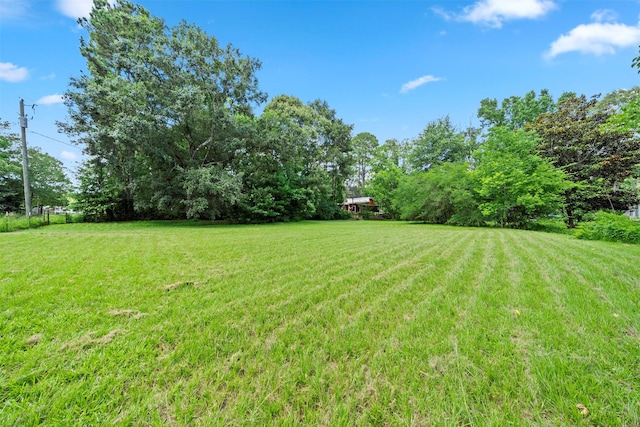 280 Sambo Ln, Livingston, TX 77351 - photo 20