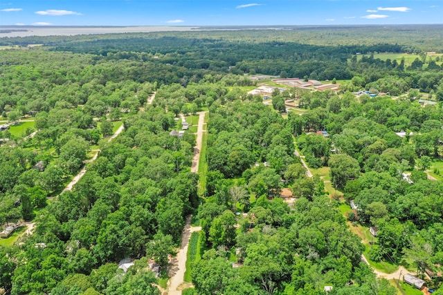 280 Sambo Ln, Livingston, TX 77351 - photo 33