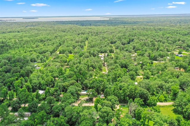 280 Sambo Ln, Livingston, TX 77351 - photo 34