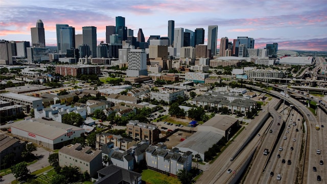 1822 Mcilhenny St Unit A, Houston, TX 77004 - skyline view