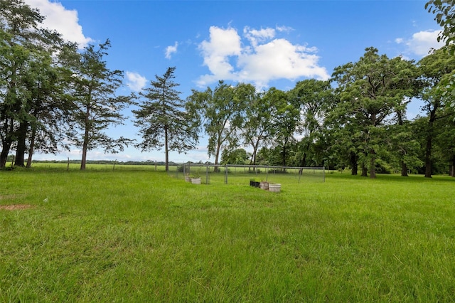 239 County Road 2335, Grapeland, TX 75844 - photo 23