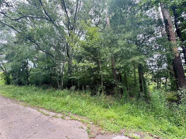 0 Lazy Creek Dr, New Caney, TX 77357