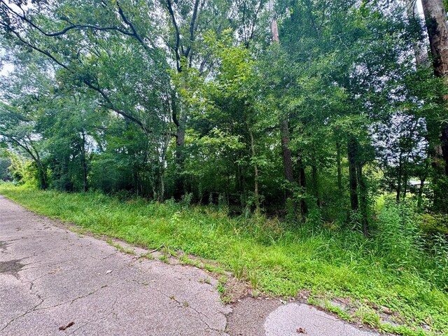 0 Lazy Creek Dr, New Caney, TX 77357