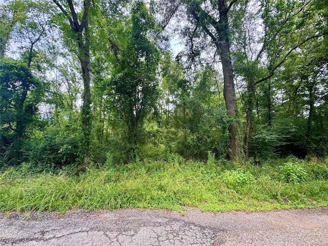 0 Lazy Creek Dr, New Caney, TX 77357