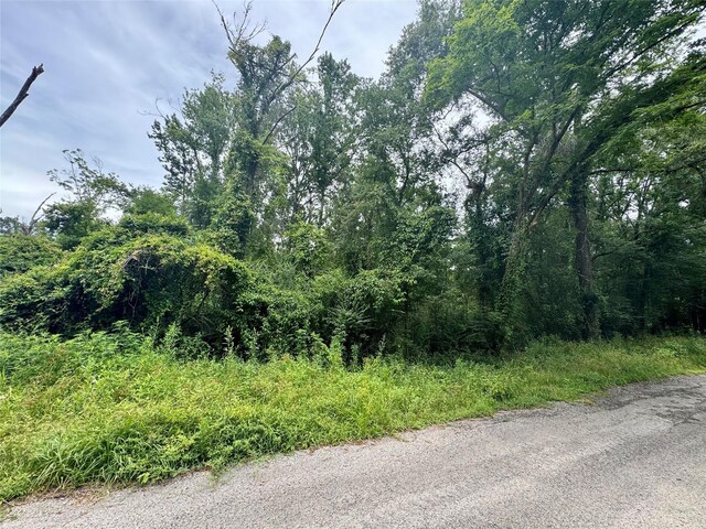 0 Lazy Creek Dr, New Caney, TX 77357