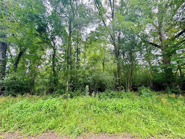 0 Lazy Creek Dr, New Caney, TX 77357
