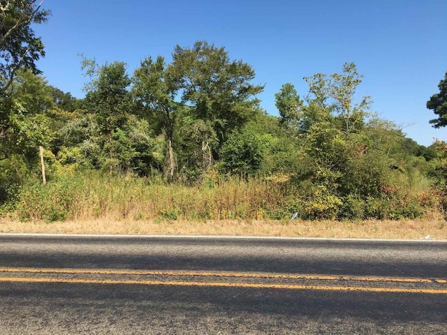 0 State Highway 294, Elkhart, TX 75839 - photo 1