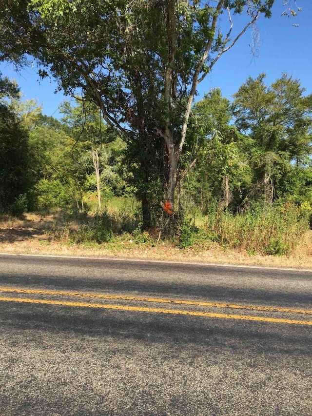 0 State Highway 294, Elkhart, TX 75839 - photo 3