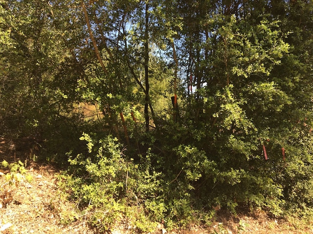 0 State Highway 294, Elkhart, TX 75839 - photo 5