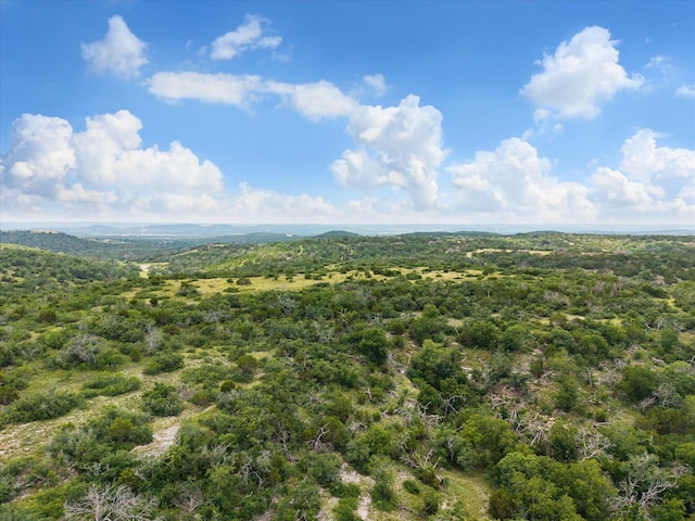 201 W Wind Rd, Comfort, TX 78013 - photo 1