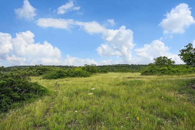 201 W Wind Rd, Comfort, TX 78013 - photo 5