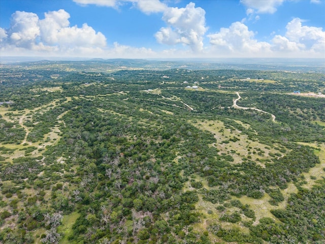 201 W Wind Rd, Comfort, TX 78013 - photo 4