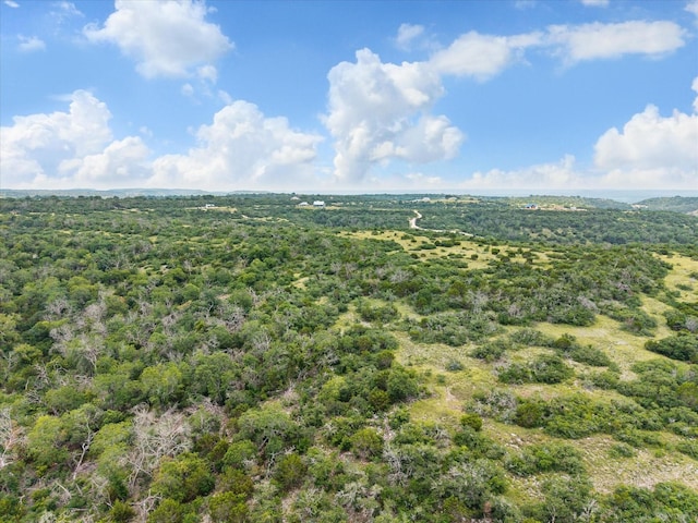 201 W Wind Rd, Comfort, TX 78013 - photo 9