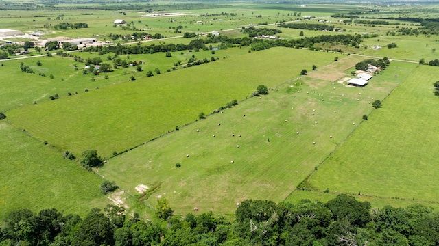10306 Schmidt Rd, Waller, TX 77484 - photo 7