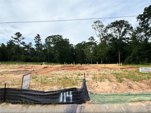 114 Luther Dean Ln, New Waverly, TX 77358 - view of yard featuring a wooded view