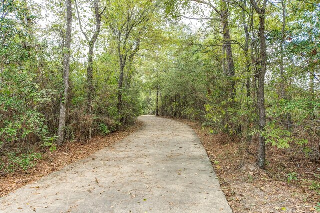 1911 Scarlet Yaupon Way, Conroe, TX 77301 - photo 22
