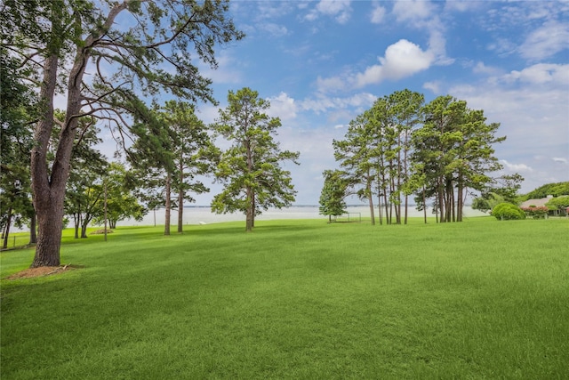 10070 Valley Dr S, Willis, TX 77318 - photo 1