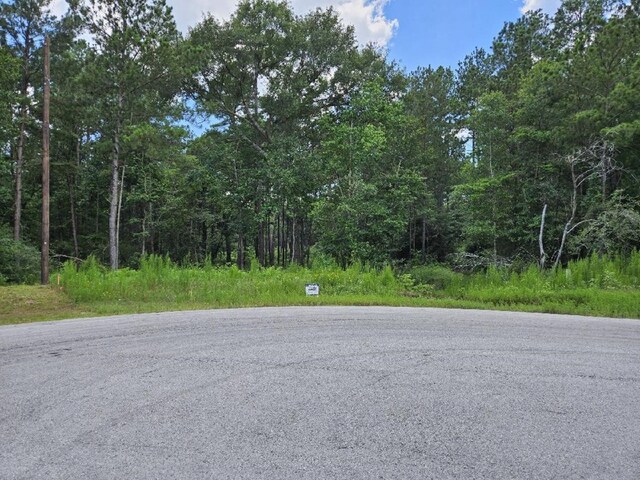 00 Windmill, Huntsville, TX 77340