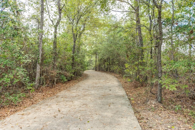 1912 Golden Spruce Ln, Conroe, TX 77301 - view of road featuring a forest view