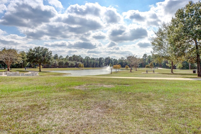 1912 Golden Spruce Ln, Conroe, TX 77301 - view of green lawn with a water view