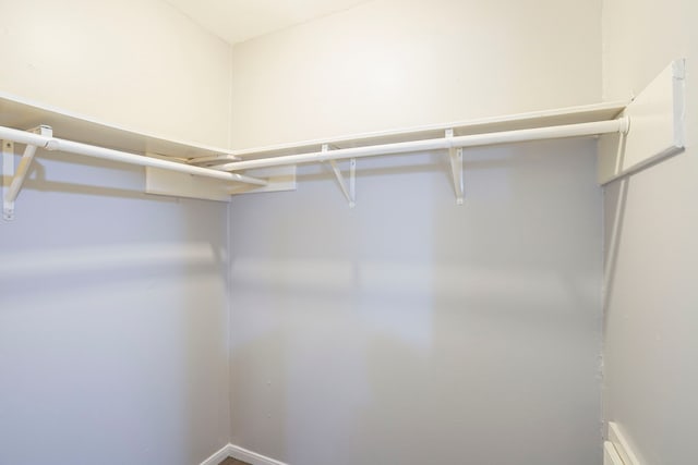 5606 Water Leaf Ln, Houston, TX 77088 - view of walk in closet