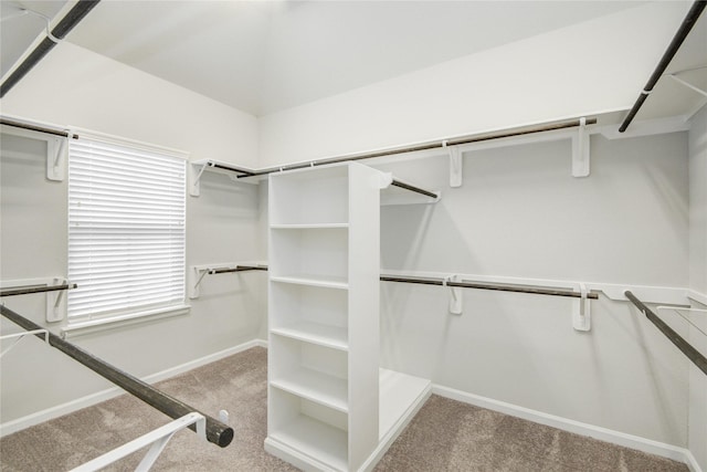 9624 Cambridge Manor Ln, Houston, TX 77045 - walk in closet with carpet