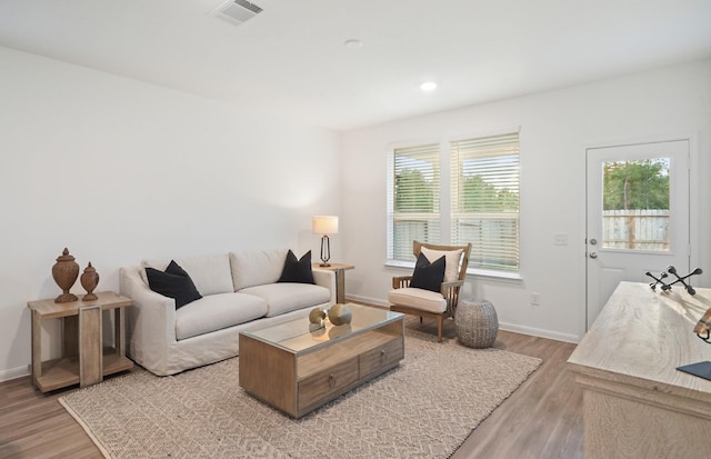 25713 Merino Ct, Magnolia, TX 77355 - living room featuring light wood finished floors, plenty of natural light, and recessed lighting