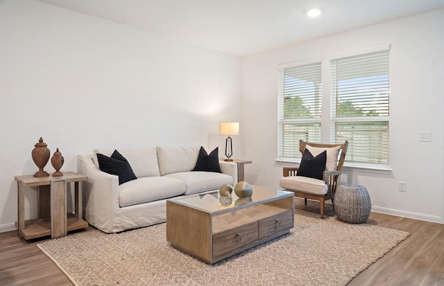 25713 Merino Ct, Magnolia, TX 77355 - living area featuring wood finished floors and recessed lighting