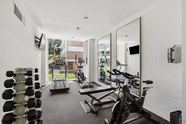 3600 Montrose Blvd Unit 209, Houston, TX 77006 - exercise room with expansive windows