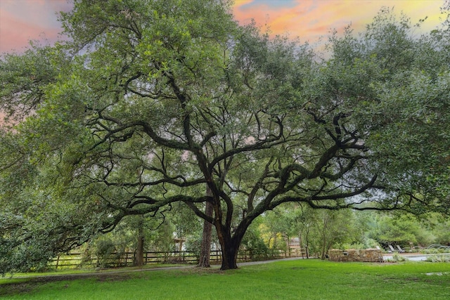 3 E Rivercrest Dr, Houston, TX 77042 - view of yard at dusk