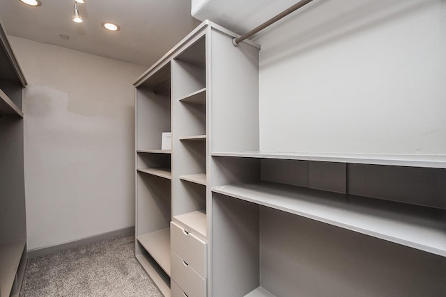 4292 Childress St, Houston, TX 77005 - spacious closet featuring light colored carpet