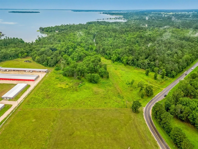 0 Fm 3126, Livingston, TX 77351 - photo 6