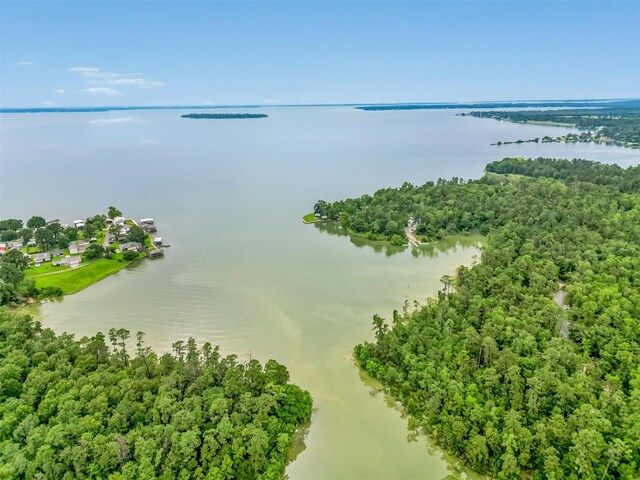 0 Fm 3126, Livingston, TX 77351 - photo 10