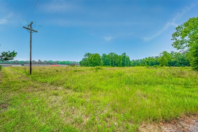 0 Fm 3126, Livingston, TX 77351 - photo 5