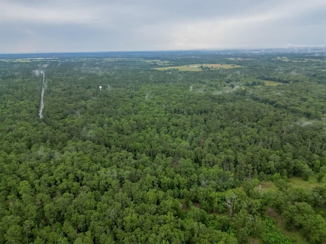 0 Fm 3126, Livingston, TX 77351 - photo 14