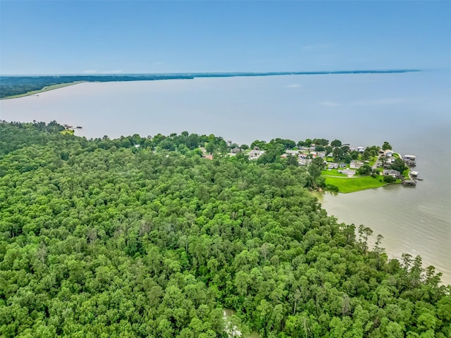 0 Fm 3126, Livingston, TX 77351 - photo 15