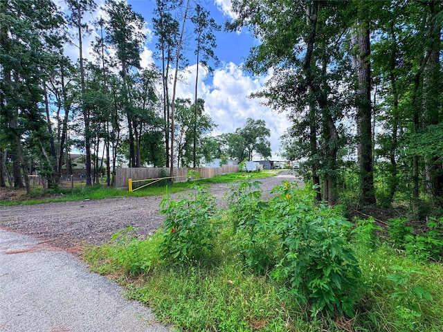 19816 Michael Ln, Porter, TX 77365 - photo 2