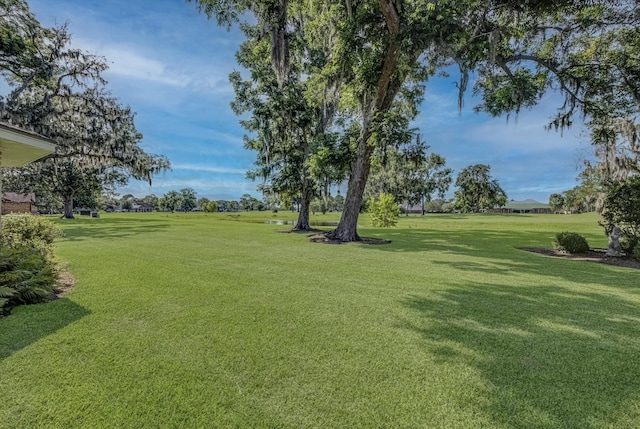 332 N Amherst Dr, West Columbia, TX 77486 - view of grassy yard