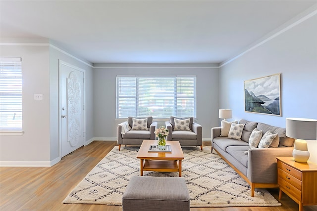6609 Imogene St, Houston, TX 77074 - living room featuring ornamental molding and light wood-style flooring