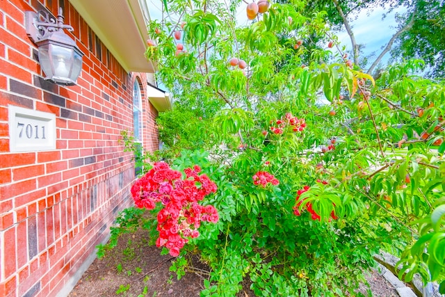 7011 Bedias Creek Ct, Richmond, TX 77407 - photo 50