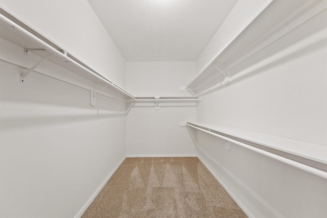 1922 Briarchester Dr, Katy, TX 77450 - spacious closet featuring carpet