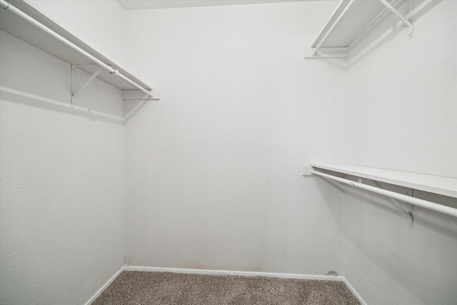 2850 Pheasant Run, Humble, TX 77396 - spacious closet featuring carpet floors