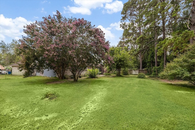 2850 Pheasant Run, Humble, TX 77396 - view of yard